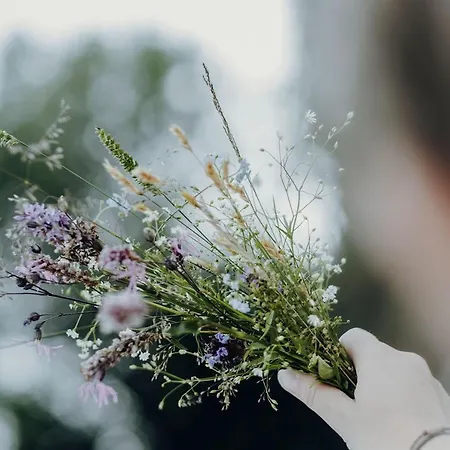 Almdorf Omlach, Fanningberg Weisspriach