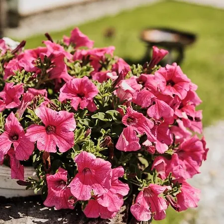 Horská chata Almdorf Omlach, Fanningberg *